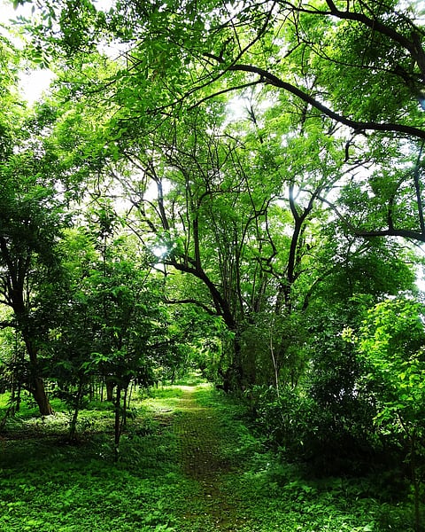 Nature lovers are invited to show up at the Maharashtra Nature Park to study its rich biodiversity