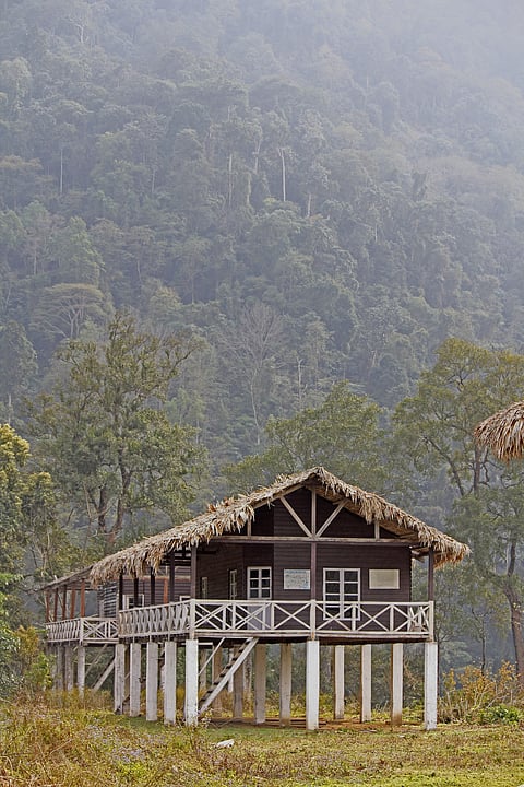 A forest resthouse at Namdapha National Park