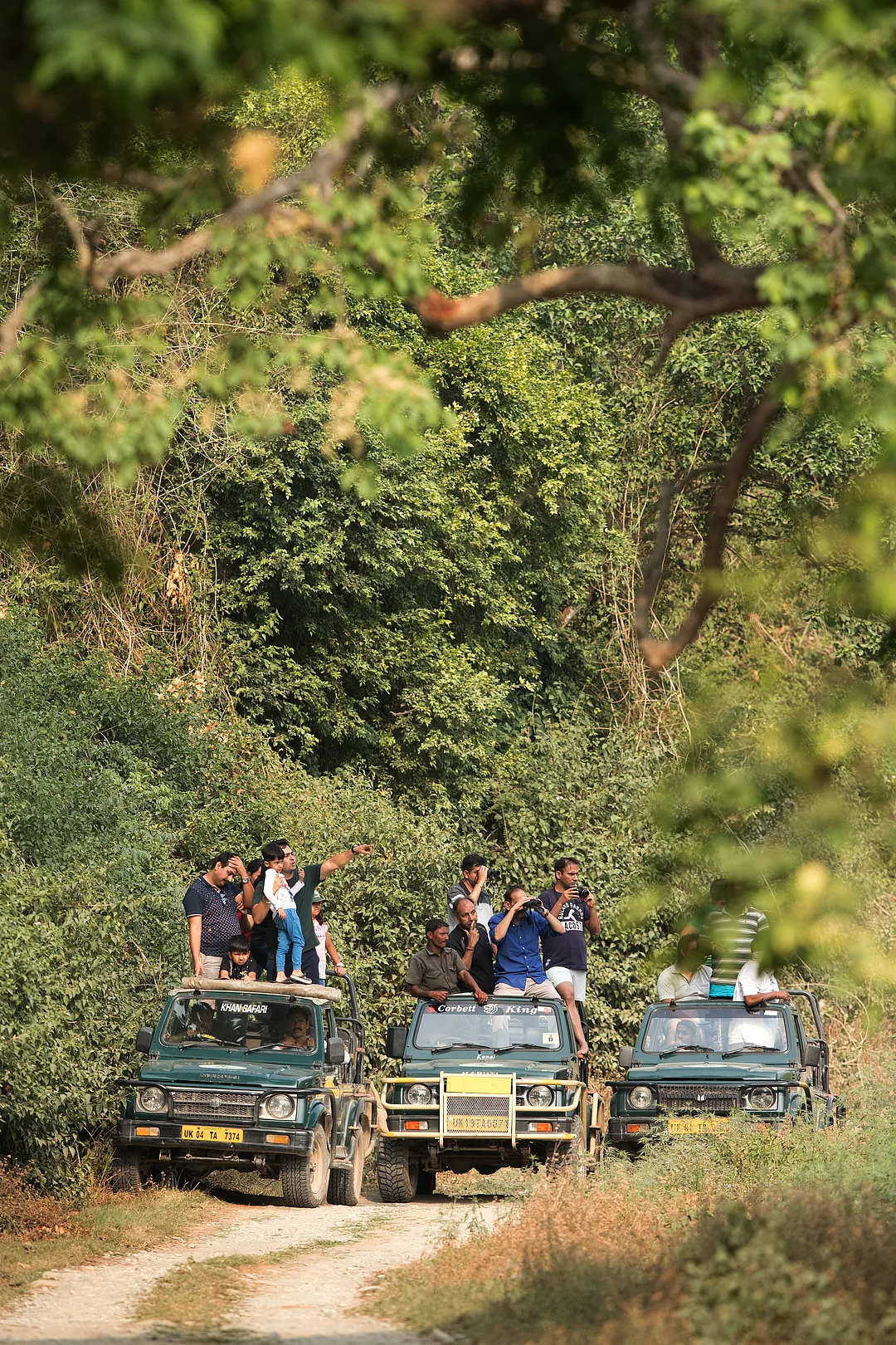Do a minimum of 4-5 safaris to maximise your chances of seeing tigers