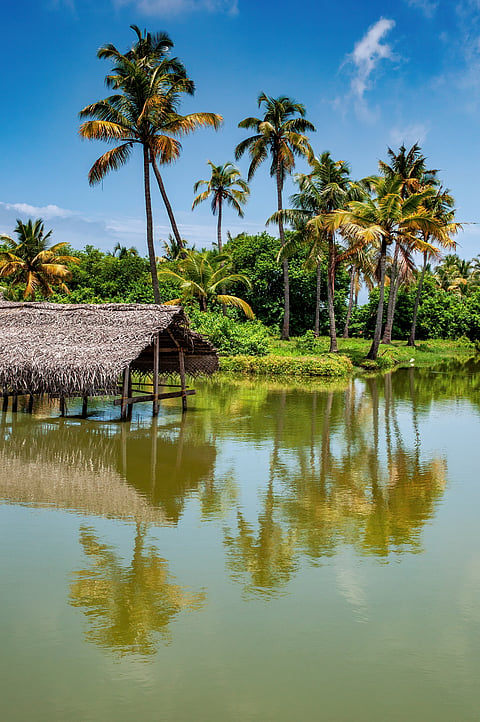The backwaters of Kochi, Kerala