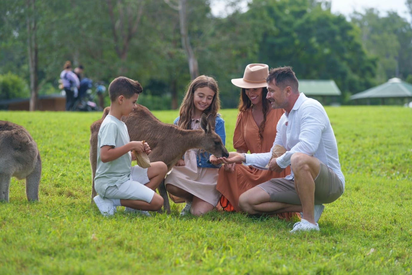 Learn about how the Lone Pine Koala Sanctuary is contributing to animal welfare efforts through their conservation work