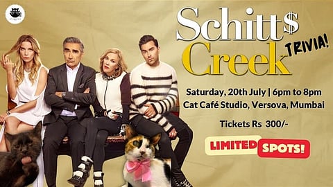Spend your Saturday evening with fellow Schitt’s Creek fans and cats for a fun outing