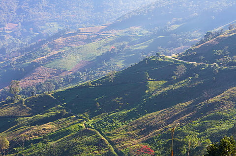 Hills of Chiang Mai