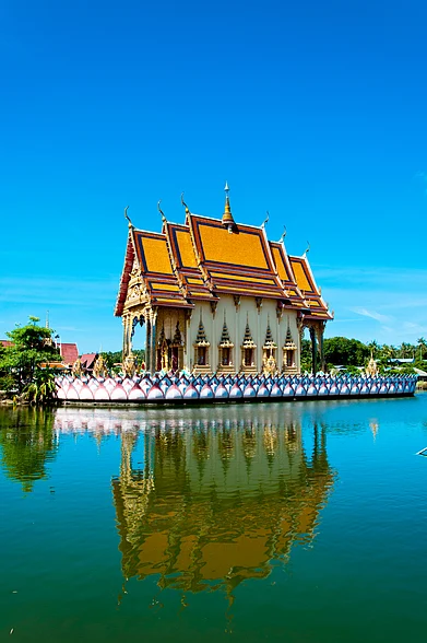 Shutterstock : A Buddhist pagoda in Koh Samui
