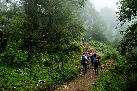 Mardi Himal Trek, Nepal