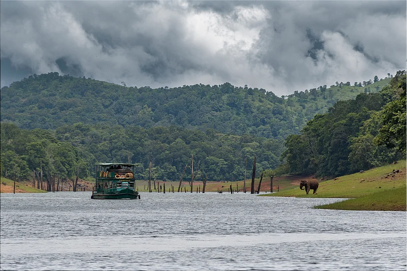 A boat safari cruises through Periyar National Park