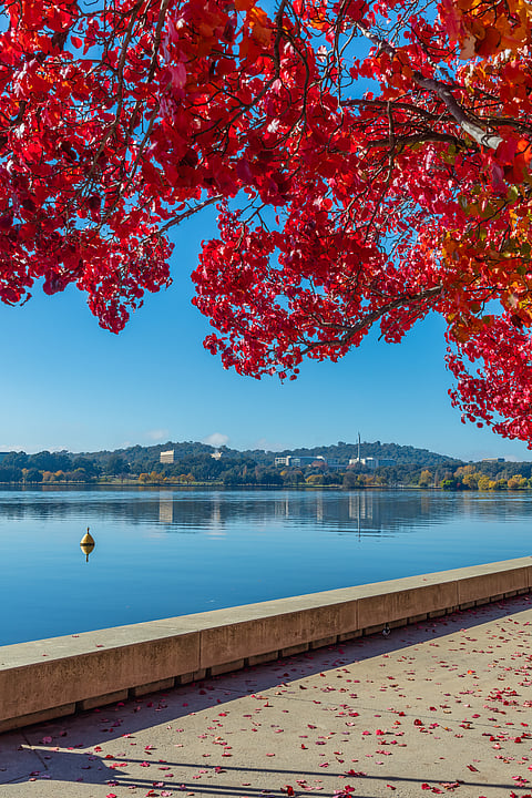 A look at the beautiful Lake Burley Griffin