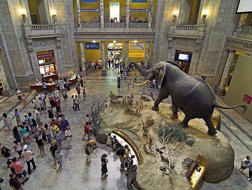 Las Vegas Museum of Natural History