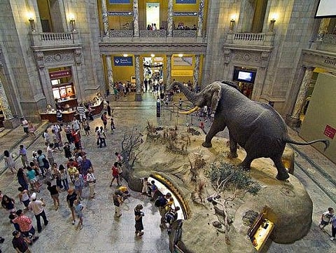Las Vegas Museum of Natural History
