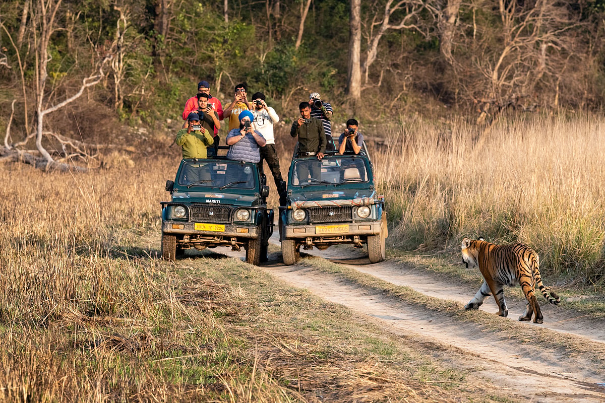 Maintain safe distances from wildlife and do not feed or approach animals