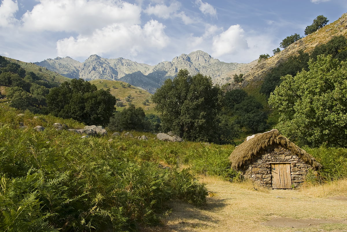 A national park has so much more to offer than just tiger sightings. 