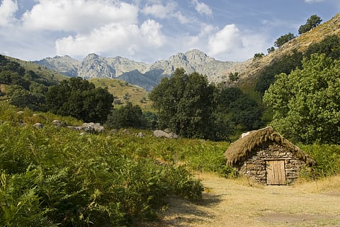 A national park has so much more to offer than just tiger sightings.