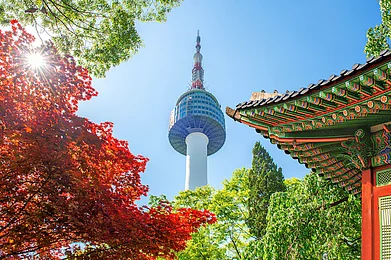 /iStock : South Korea has emerged as one of the most preferred travelling destinations in recent years