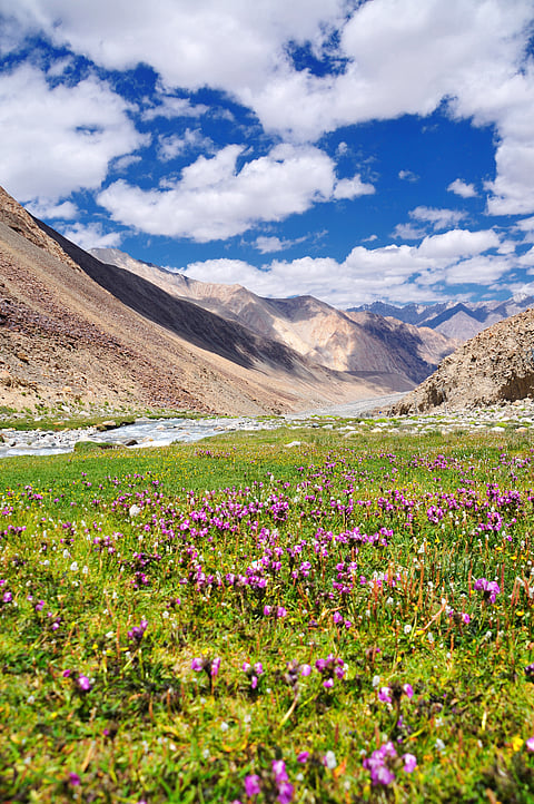 A view of the beautiful Valley of Flowers