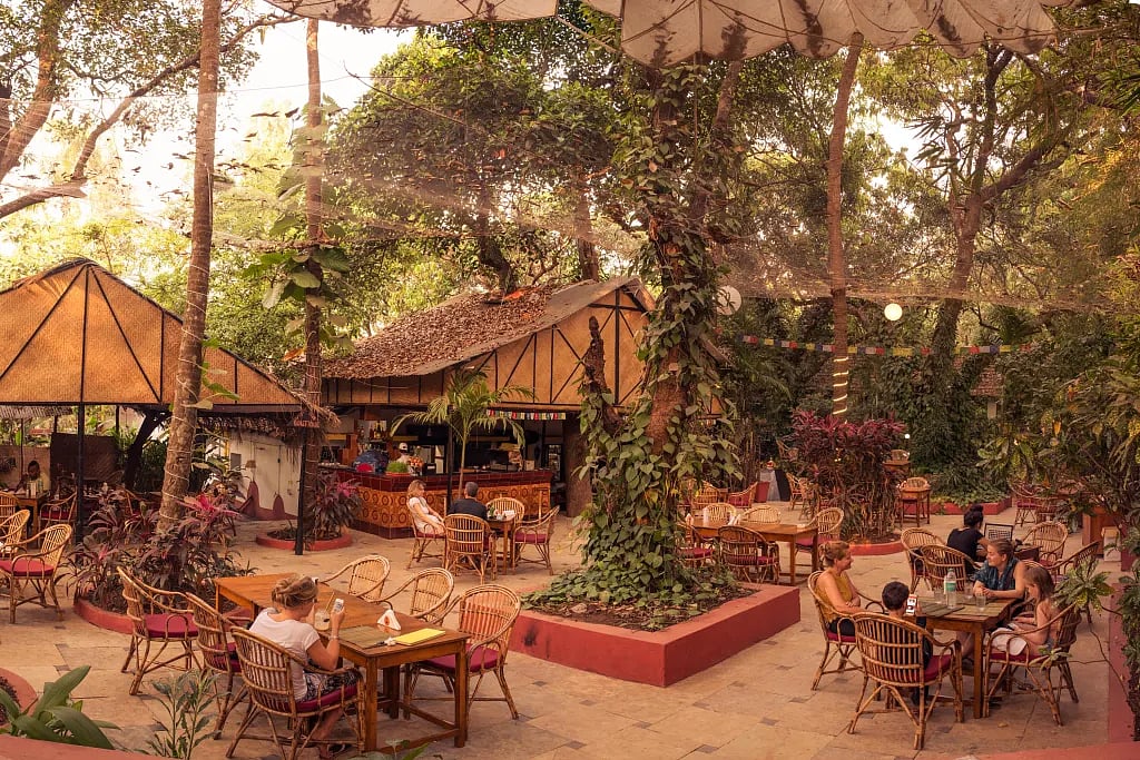 Bean Me Up is an award-winning vegan restaurant in Goa