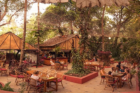 Bean Me Up is an award-winning vegan restaurant in Goa