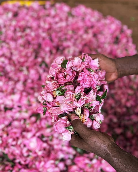 Perfume makers of Kannauj