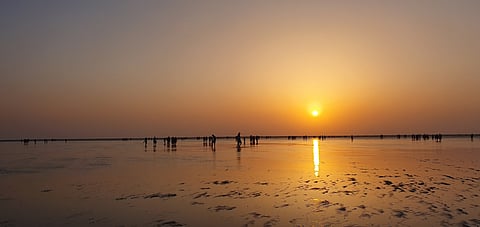 Jampore Beach is famous for its serene ambience and mud-coloured water
