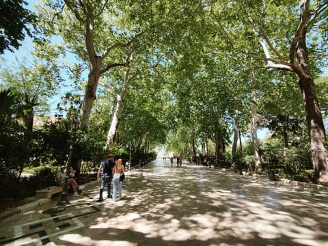 The Alameda del Tajo gardens