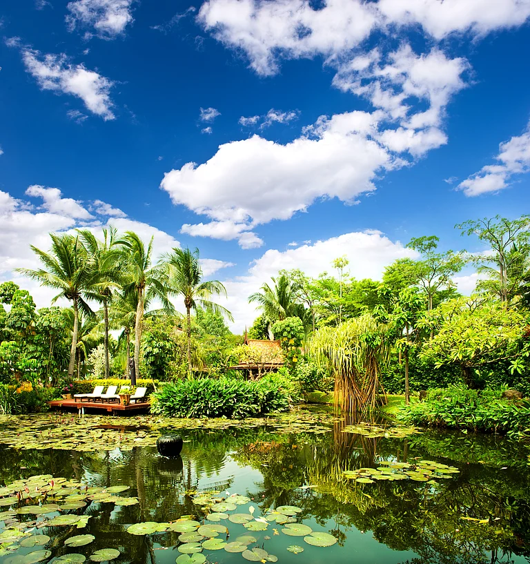 A wilderness in Hua Hin - Shutterstock