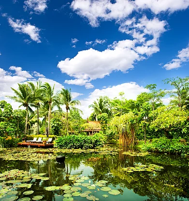 Shutterstock : A wilderness in Hua Hin