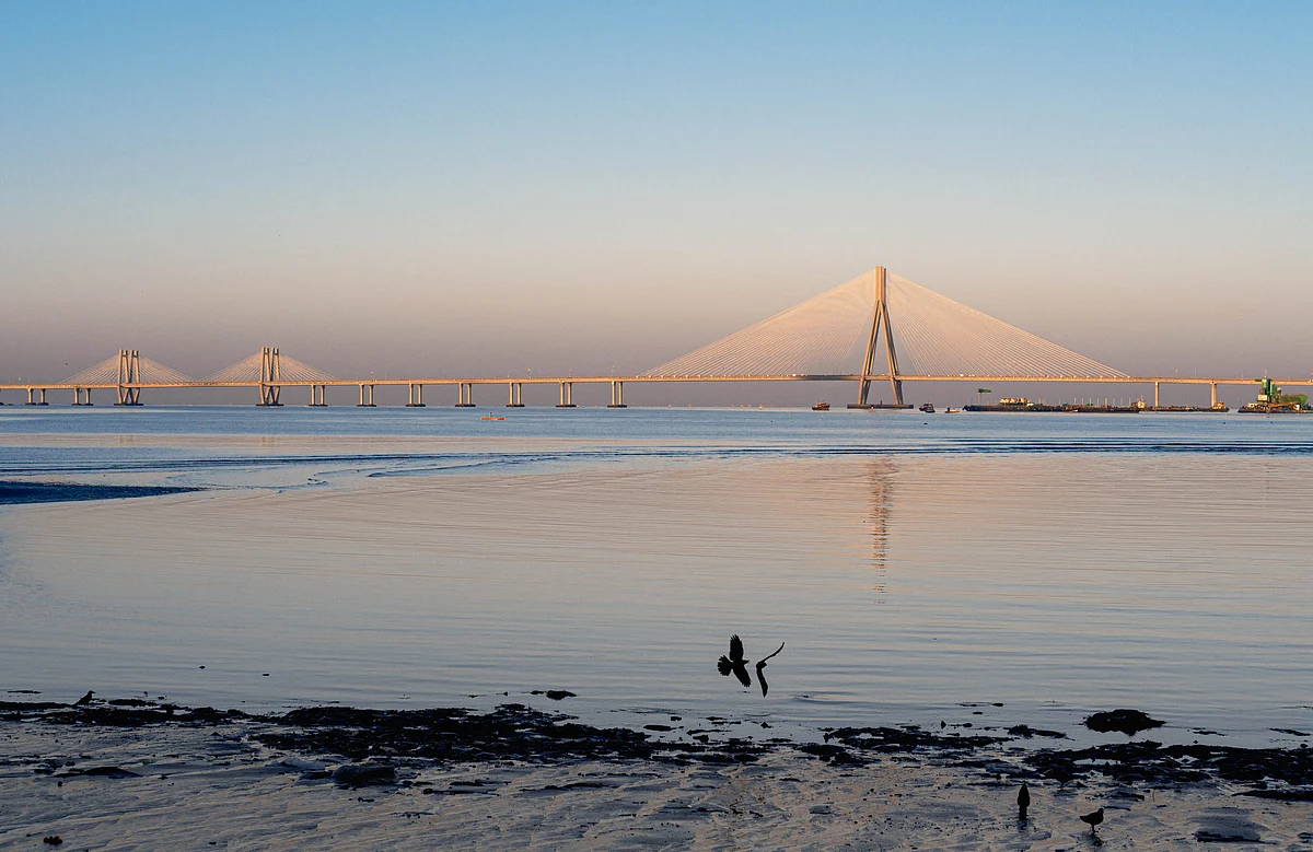 Roshan Jain/Shutterstock