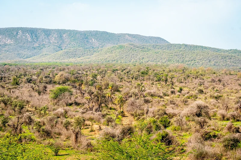 The landscape of Sariska Tiger Reserve