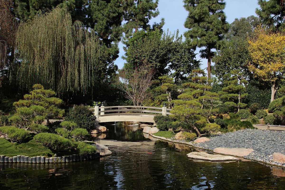 The Earl Burns Miller Japanese Garden has a koi pond, waterfalls, a tea house and a bonsai collection