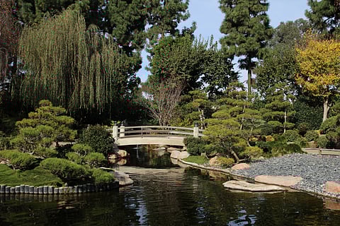 The Earl Burns Miller Japanese Garden has a koi pond, waterfalls, a tea house and a bonsai collection