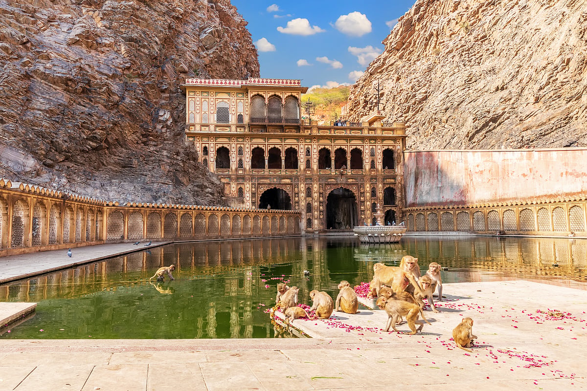 The main attraction of Galtaji is the Ramgopalji Temple, also known as the Monkey Temple due to a large group of resident monkeys