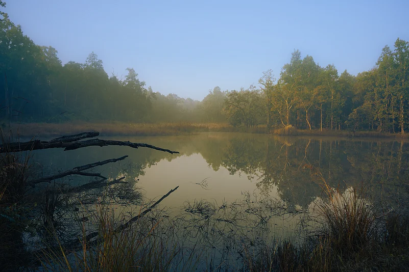 Early morning at the Pench Tiger Reserve
