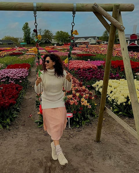 Pannu in Netherlands