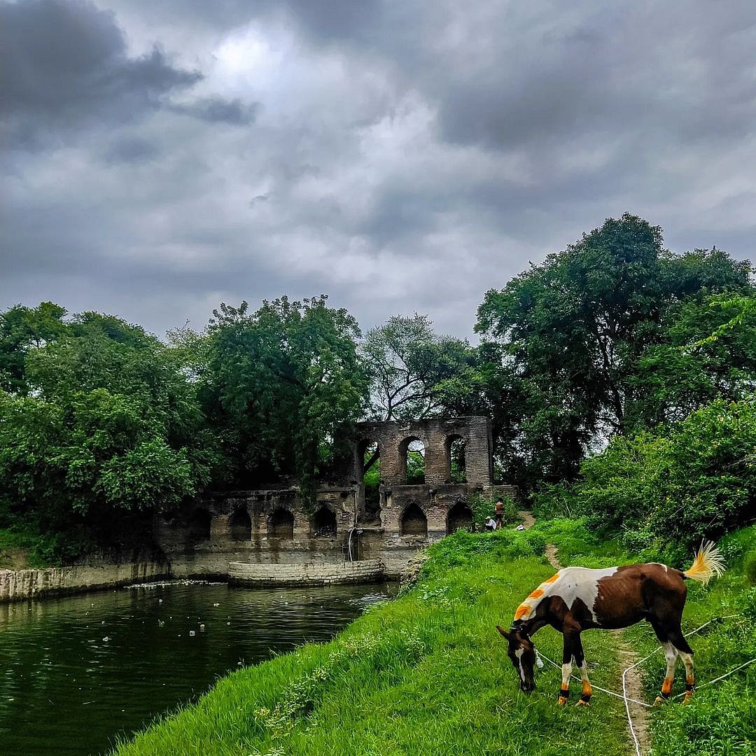 Himayat Bagh is a 400-year-old Mughal-era garden