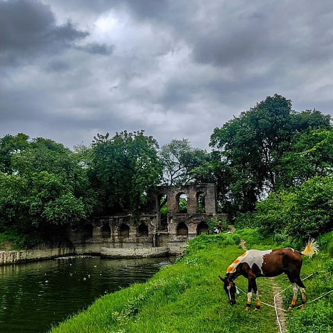 Himayat Bagh is a 400-year-old Mughal-era garden