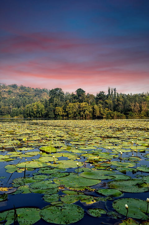 A beautiful lake enroute Coorg