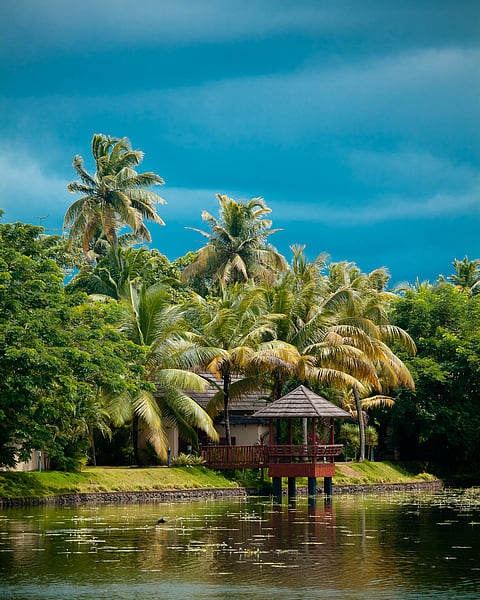 A view of the Kerala Backwaters