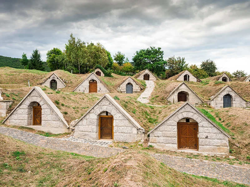 Traditional wine cellars