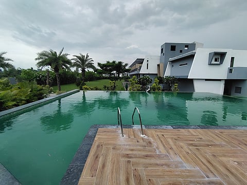 A look at The Forest Vines Corbett