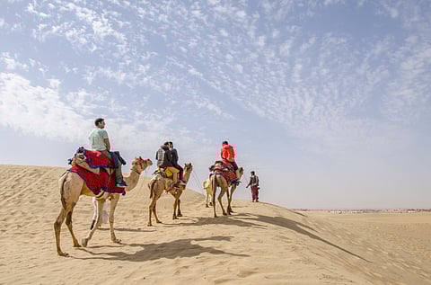 One of the things you can do in Pushkar is go on a camel safari