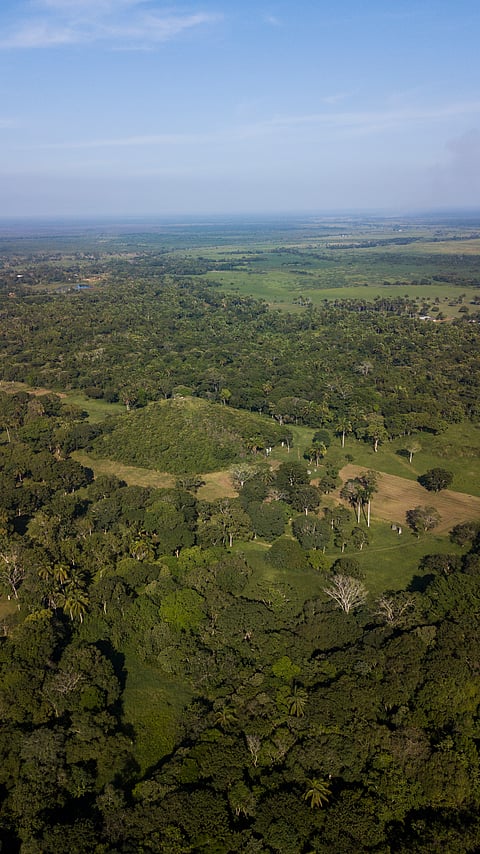 The La Venta archaeological site