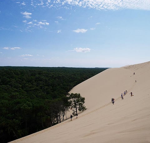 A view of the Dune of Pilat, Arcachon Bay