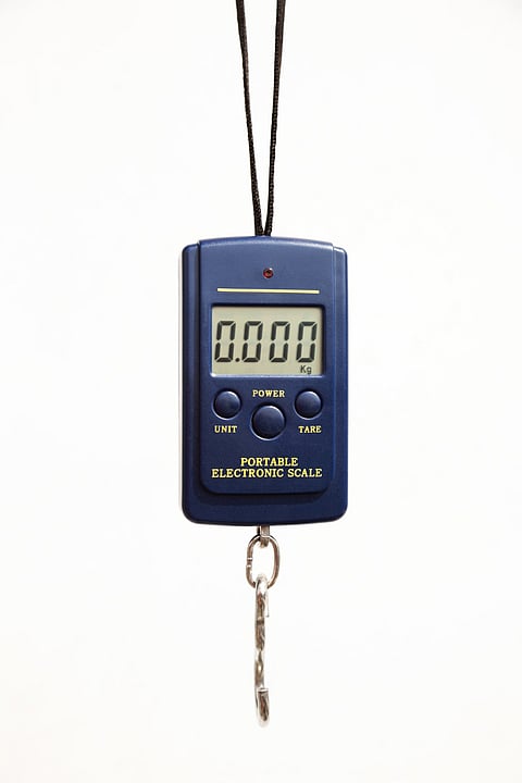 Portable luggage scale