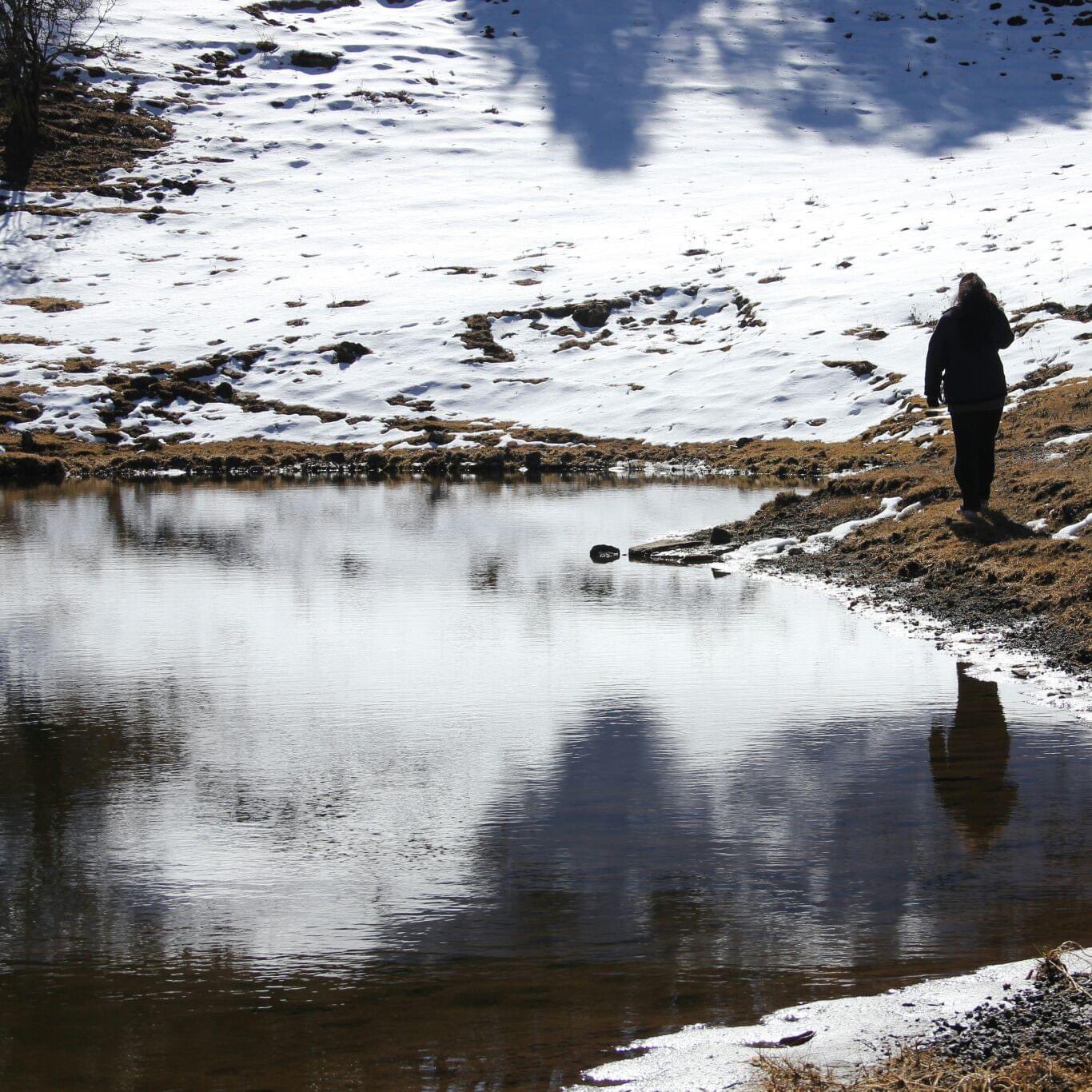Along the Dayara Bugyal trek
