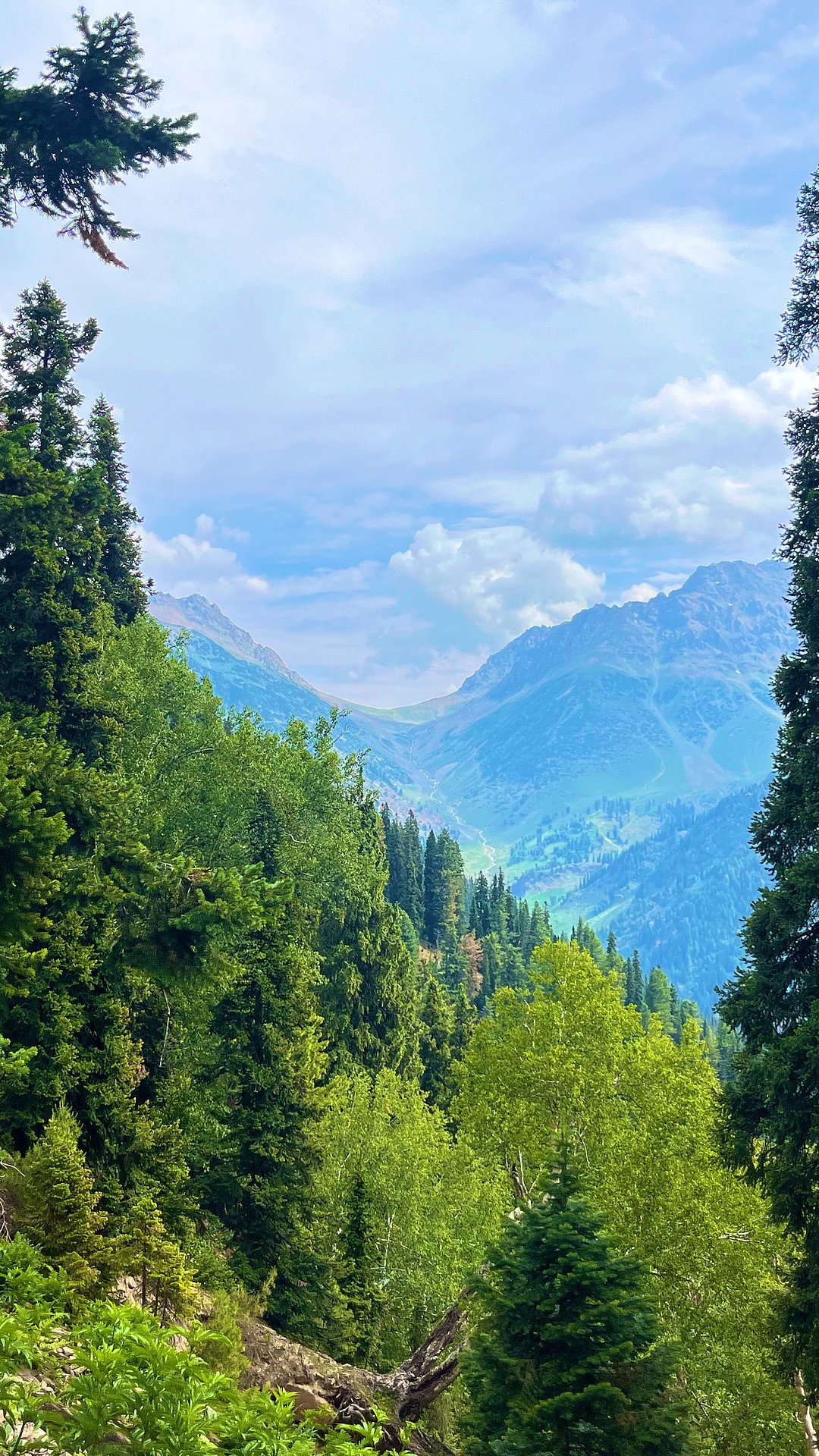 Views from the Kuari Pass trek