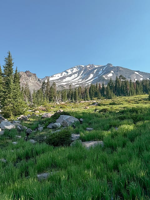 Scenic views of Mount Shasta