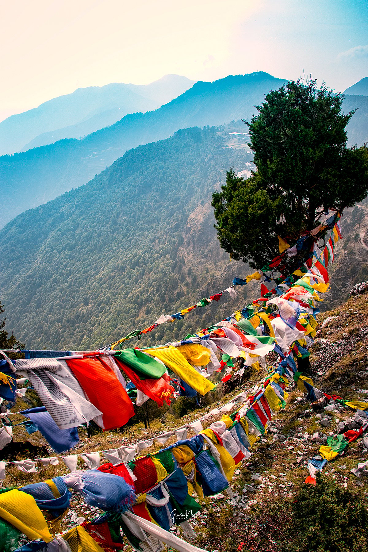 Buddhist prayer flags fluttering in Mussoorie