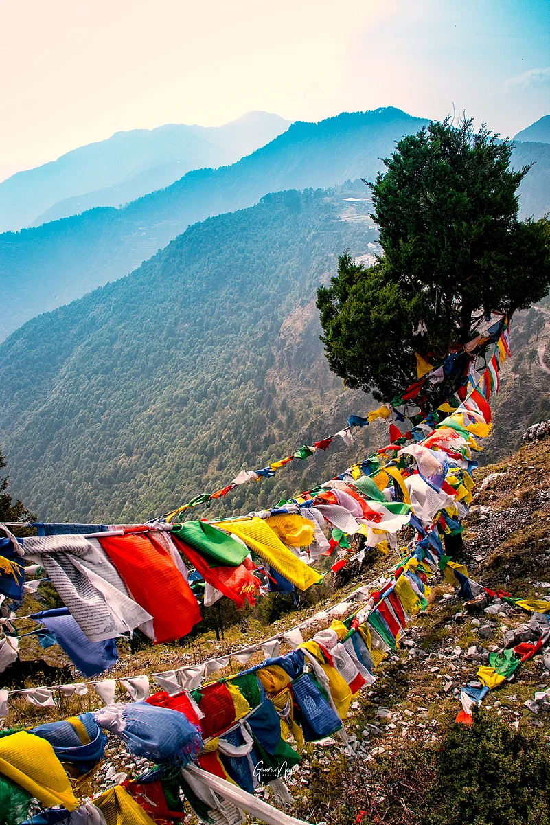 Buddhist prayer flags fluttering in Mussoorie