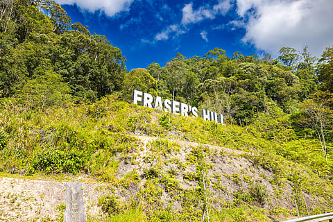 Fraser's Hill