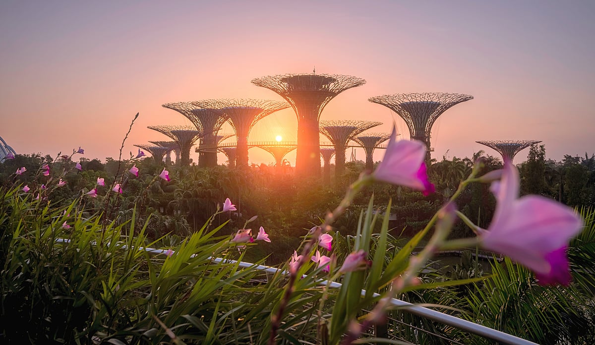 Singapore is one of the safest and culturally rich places for a solo trip