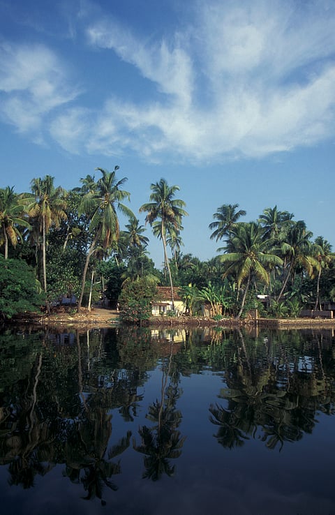 A look at the quaint Kerala backwaters